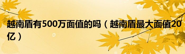 越南盾有500万面值的吗【越南盾最大面值20亿】