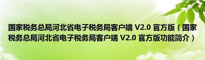 国家税务总局河北省电子税务局客户端 V2.0 官方版【国家税务总局河北省电子税务局客户端 V2.0 官方版功能简介】