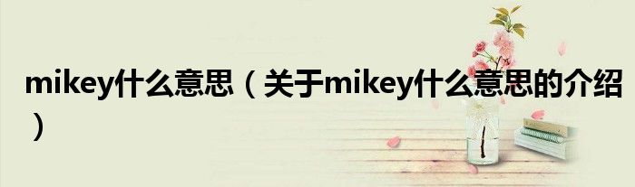 mikey什么意思【关于mikey什么意思的介绍】