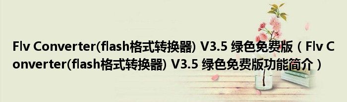 Flv Converter(flash格式转换器) V3.5 绿色免费版【Flv Converter(flash格式转换器) V3.5 绿色免费版功能简介】