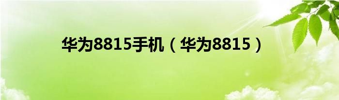 华为8815手机【华为8815】