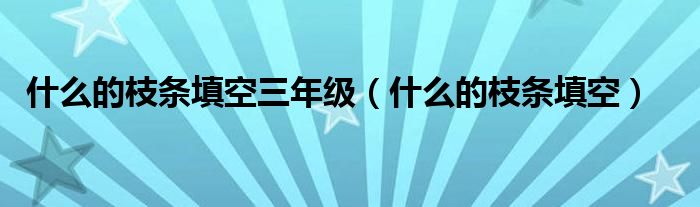 什么的枝条填空三年级【什么的枝条填空】