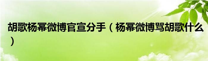 胡歌杨幂微博官宣分手【杨幂微博骂胡歌什么】