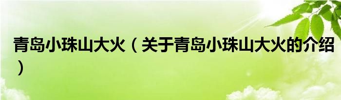 青岛小珠山大火【关于青岛小珠山大火的介绍】