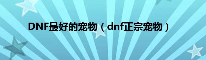 DNF最好的宠物【dnf正宗宠物】