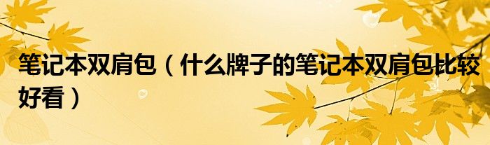 笔记本双肩包【什么牌子的笔记本双肩包比较好看】