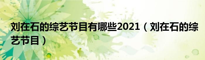 刘在石的综艺节目有哪些2021【刘在石的综艺节目】