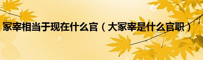 冢宰相当于现在什么官【大冢宰是什么官职】