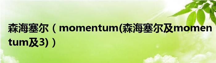 森海塞尔【momentum(森海塞尔及momentum及3)】