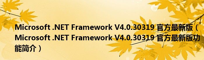 Microsoft .NET Framework V4.0.30319 官方最新版【Microsoft .NET Framework V4.0.30319 官方最新版功能简介】