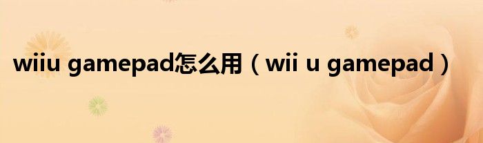 wiiu gamepad怎么用【wii u gamepad】