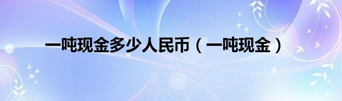 一吨现金多少人民币【一吨现金】