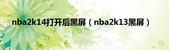 nba2k14打开后黑屏【nba2k13黑屏】