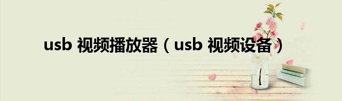 usb 视频播放器【usb 视频设备】