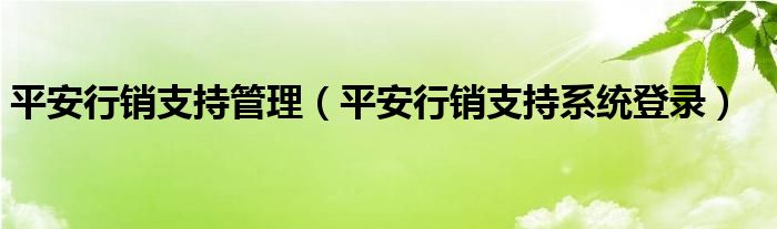 平安行销支持管理【平安行销支持系统登录】