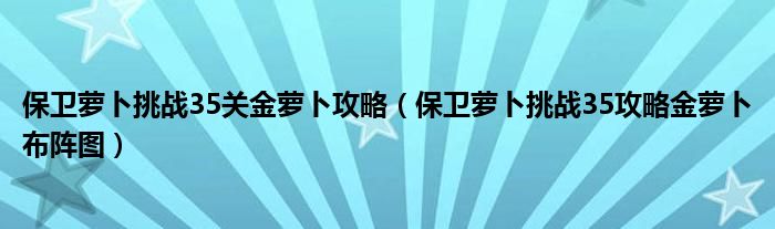 保卫萝卜挑战35关金萝卜攻略【保卫萝卜挑战35攻略金萝卜布阵图】