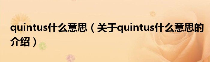 quintus什么意思【关于quintus什么意思的介绍】