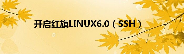 开启红旗LINUX6.0【SSH】