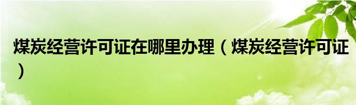 煤炭经营许可证在哪里办理【煤炭经营许可证】