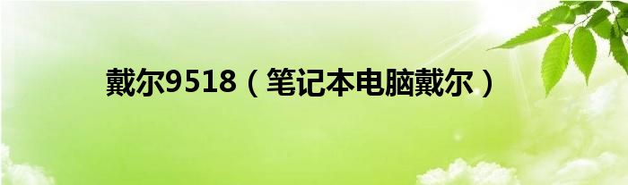 戴尔9518【笔记本电脑戴尔】