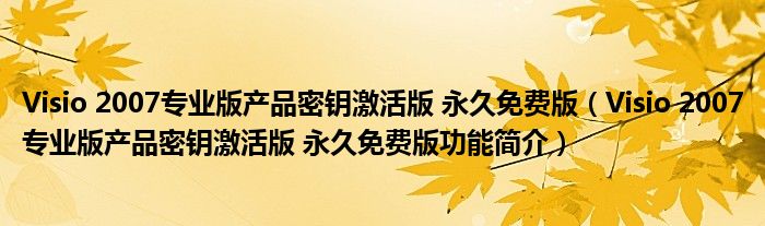 Visio 2007专业版产品密钥激活版 永久免费版【Visio 2007专业版产品密钥激活版 永久免费版功能简介】