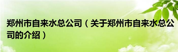 郑州市自来水总公司【关于郑州市自来水总公司的介绍】