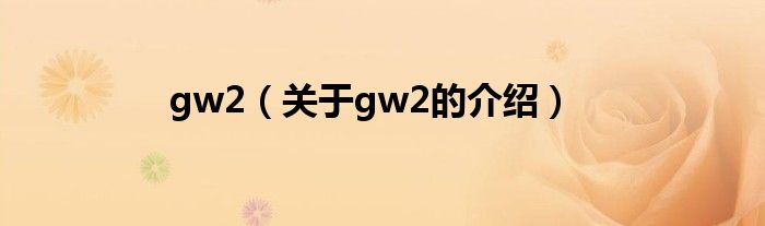 gw2【关于gw2的介绍】