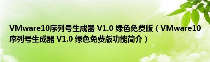 VMware10序列号生成器 V1.0 绿色免费版【VMware10序列号生成器 V1.0 绿色免费版功能简介】