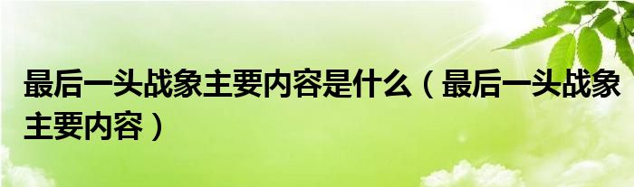 最后一头战象主要内容是什么【最后一头战象主要内容】