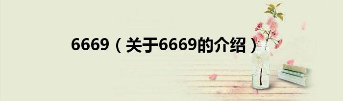 6669【关于6669的介绍】