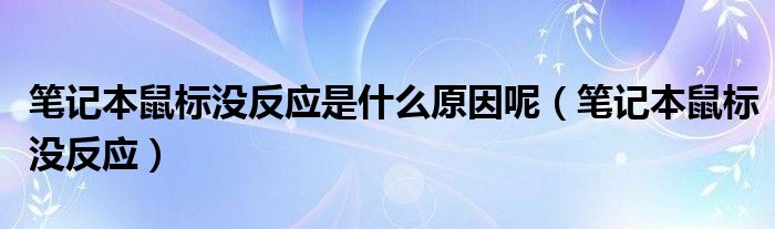 笔记本鼠标没反应是什么原因呢【笔记本鼠标没反应】