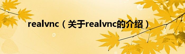 realvnc【关于realvnc的介绍】