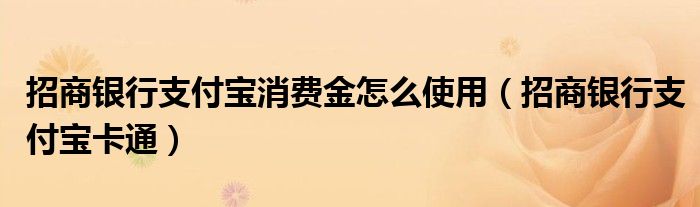 招商银行支付宝消费金怎么使用【招商银行支付宝卡通】