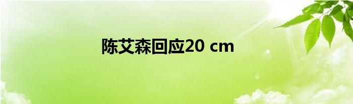 陈艾森回应20 cm