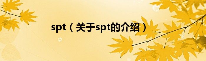 spt【关于spt的介绍】