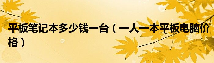 平板笔记本多少钱一台【一人一本平板电脑价格】