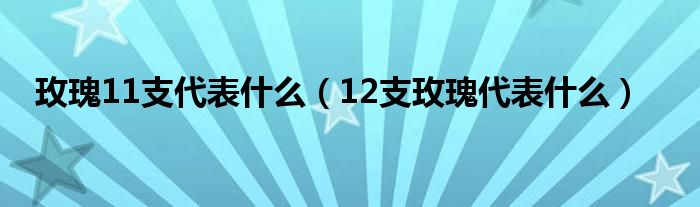 玫瑰11支代表什么【12支玫瑰代表什么】