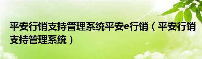 平安行销支持管理系统平安e行销【平安行销支持管理系统】