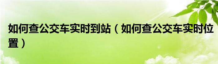 如何查公交车实时到站【如何查公交车实时位置】