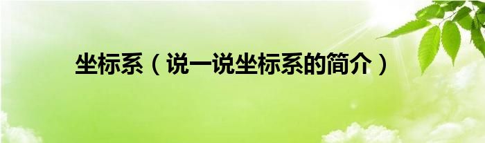 坐标系【说一说坐标系的简介】