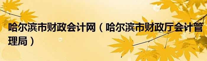 哈尔滨市财政会计网【哈尔滨市财政厅会计管理局】