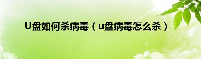 U盘如何杀病毒【u盘病毒怎么杀】