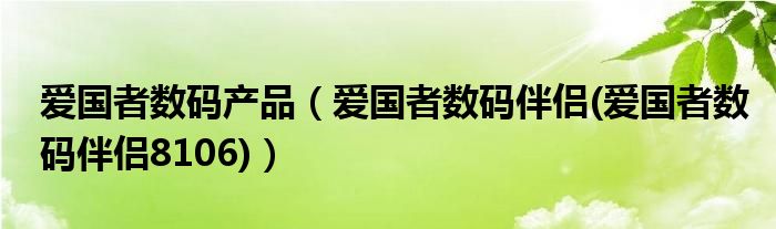 爱国者数码产品【爱国者数码伴侣(爱国者数码伴侣8106)】