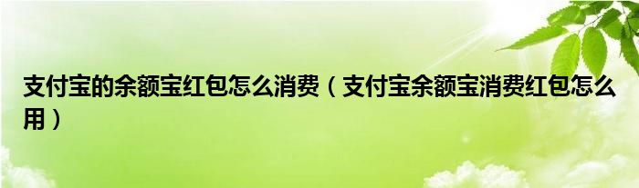 支付宝的余额宝红包怎么消费【支付宝余额宝消费红包怎么用】