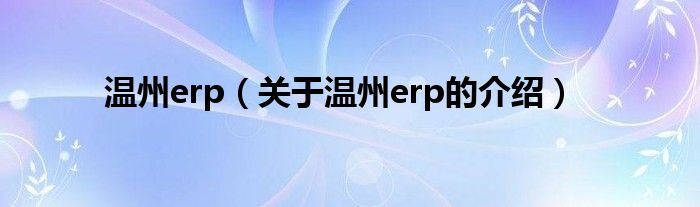 温州erp【关于温州erp的介绍】