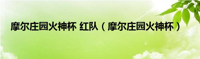 摩尔庄园火神杯 红队【摩尔庄园火神杯】