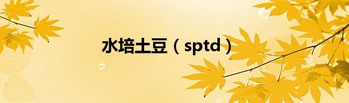 水培土豆【sptd】