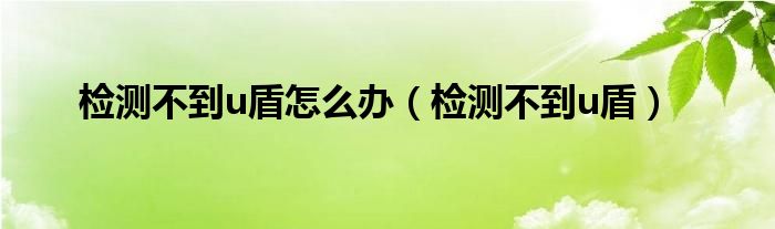 检测不到u盾怎么办【检测不到u盾】