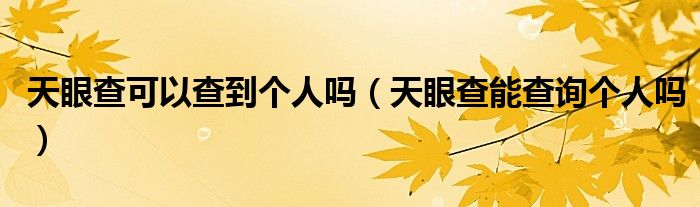 天眼查可以查到个人吗【天眼查能查询个人吗】