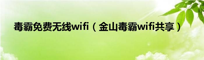 毒霸免费无线wifi【金山毒霸wifi共享】